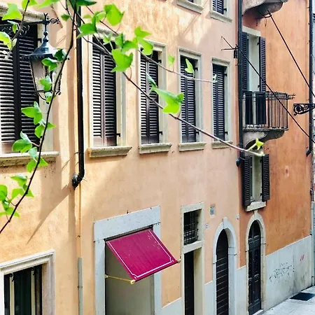 Apartment Le Camelie *