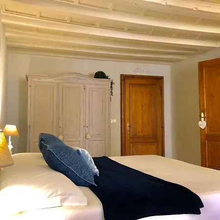 Le Camelie
